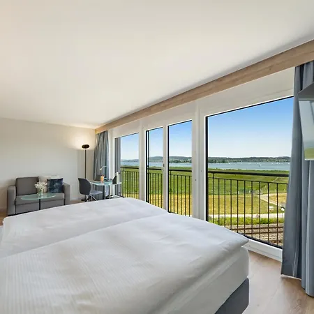 Seedamm Plaza Hotel Pfäffikon