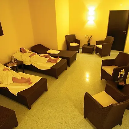Seedamm Plaza Hotel